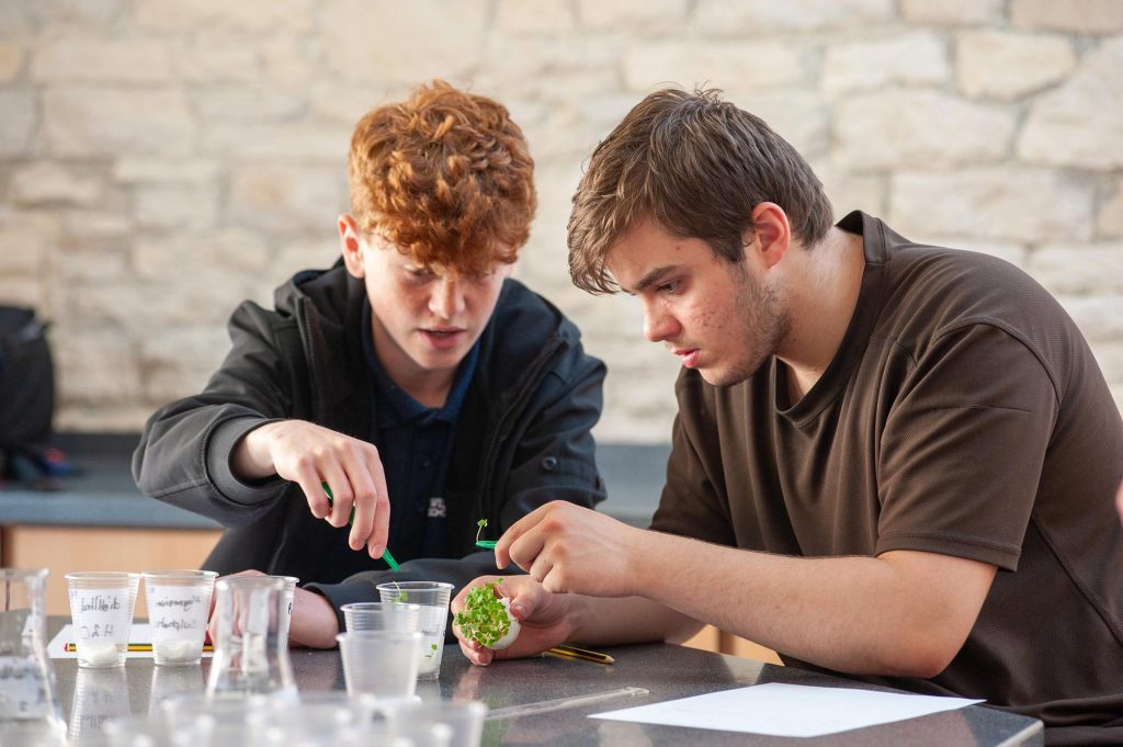 2 pupils pick up cress with tweezers