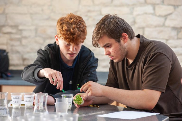 2 pupils pick up cress with tweezers